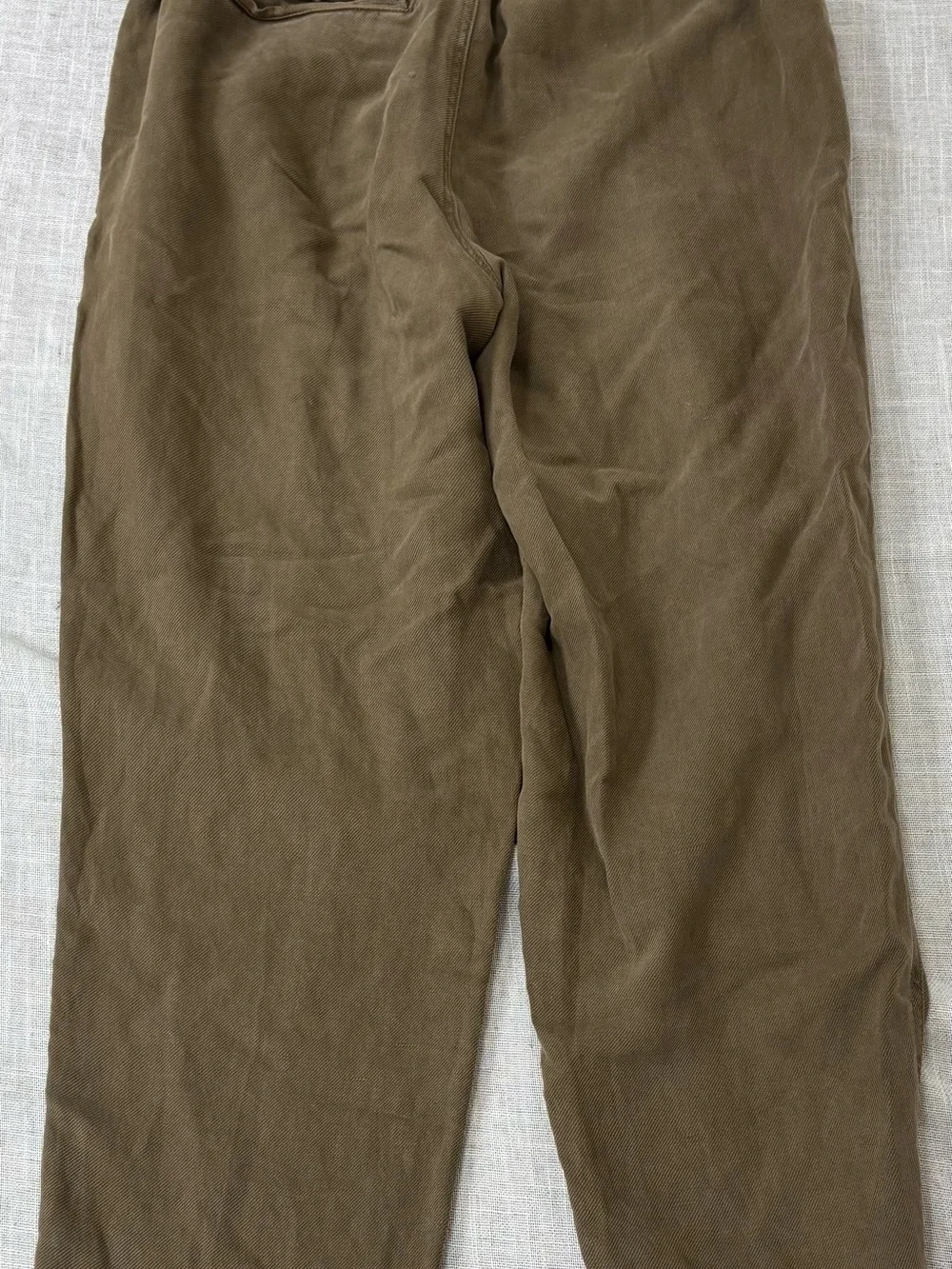 aerie Men's Olive Drawstring Chinos in Brown